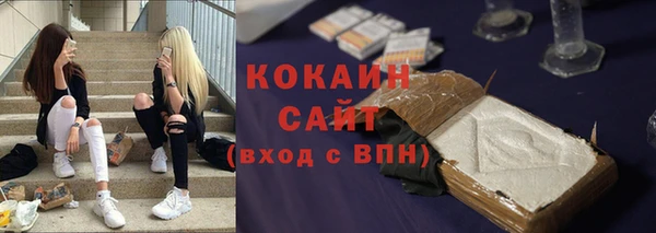 мдпв Пестово