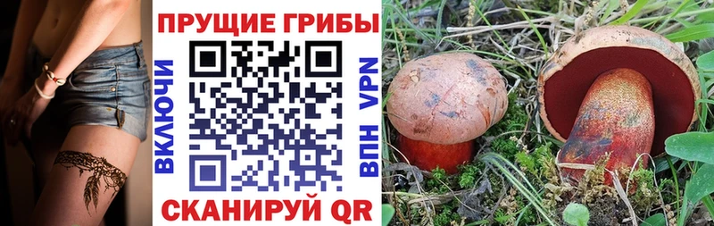 Галлюциногенные грибы мухоморы  купить наркоту  Алейск 