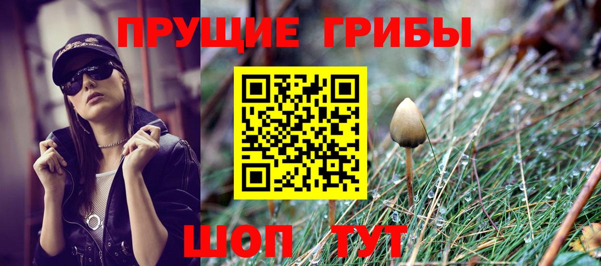 Галлюциногенные грибы мухоморы Алейск
